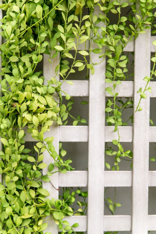 Decorative Lattice Mounting