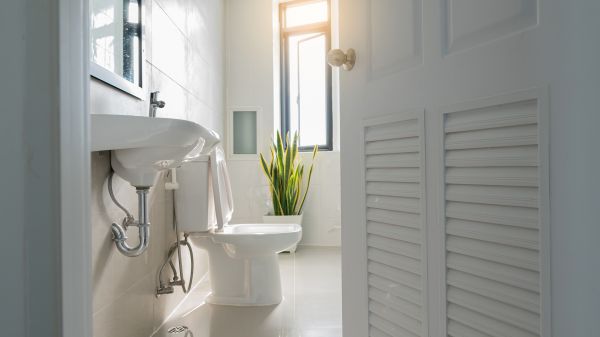 Cost of Bathroom Repair in Johnson City