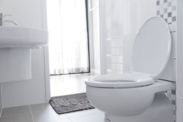 Cost of Toilet Seat Installation in Johnson City