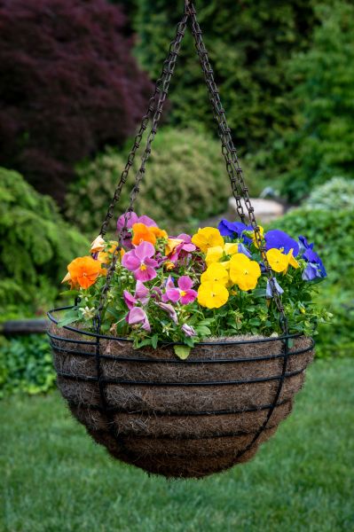 Cost of Hanging Basket Installation in Johnson City